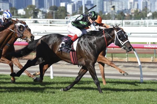 sean buckley spring carnival 2025 australia