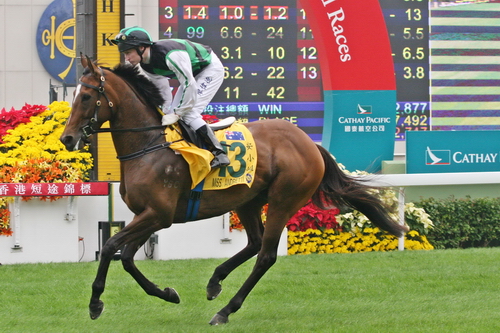 sean buckley spring carnival 2025