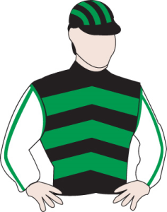 Ultra Thoroughbreds Racing Colours