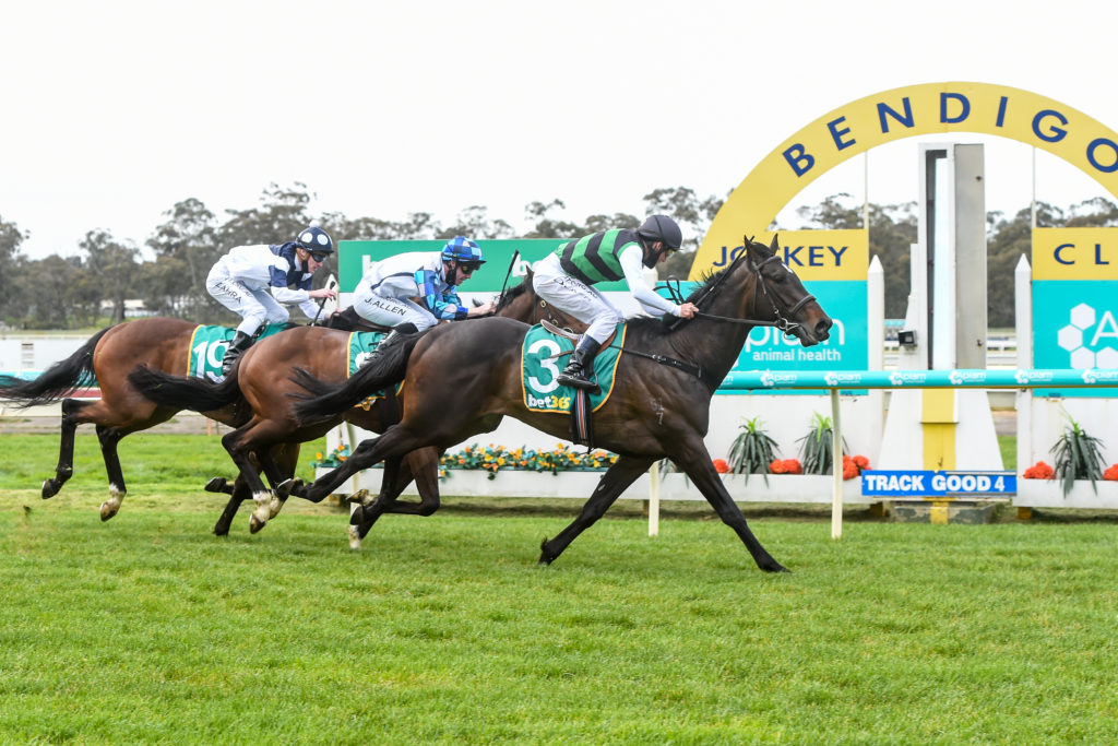sean buckley ultra thoroughbred racing